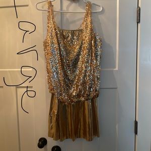 Ice skating or dance costume